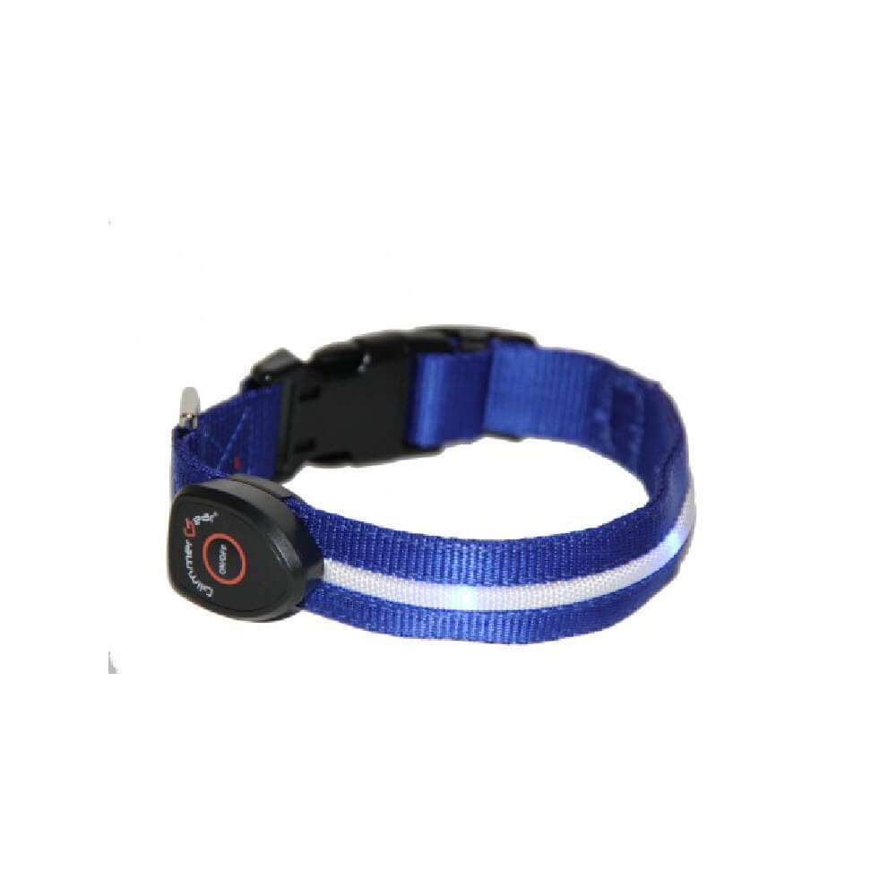 Glimmer Gear Rechargeable Light Up Dog Collar