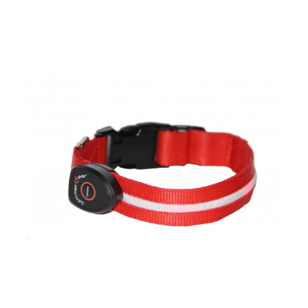 Glimmer Gear Rechargeable Light Up Dog Collar