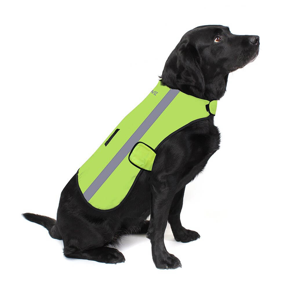 Proviz Classic Hi Visibility Fluorescent and reflective waterproof dog coat