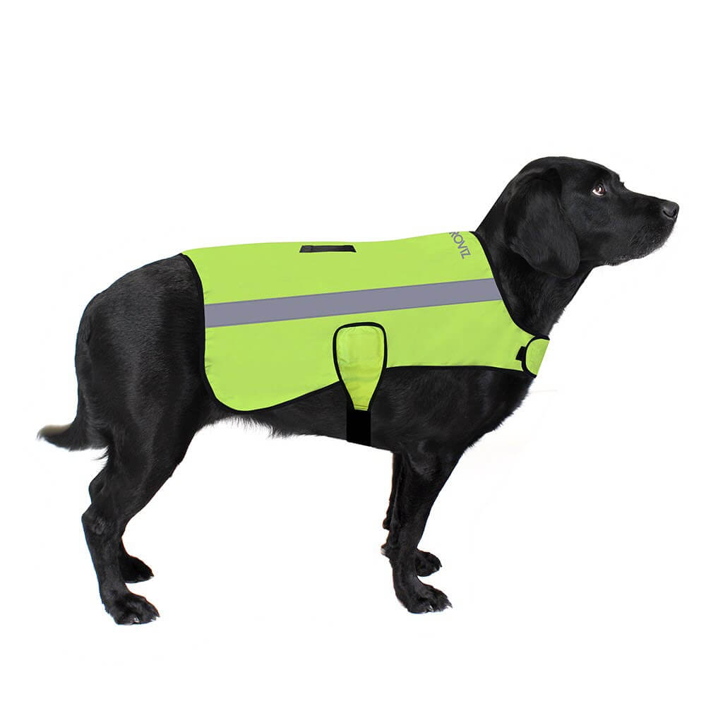 Proviz Classic Hi Visibility Fluorescent and reflective waterproof dog coat