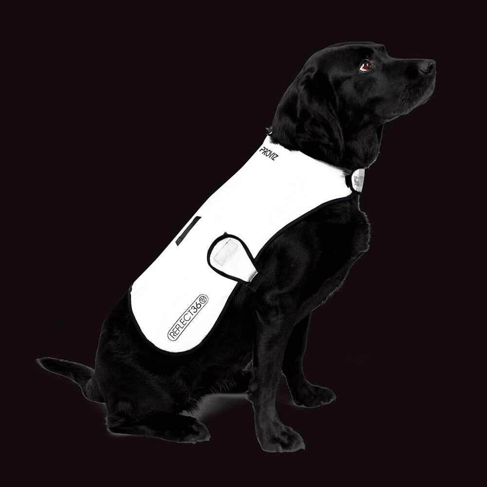 Proviz REFLECT360 Waterproof fully reflective dog coat and dog jacket with harness hole