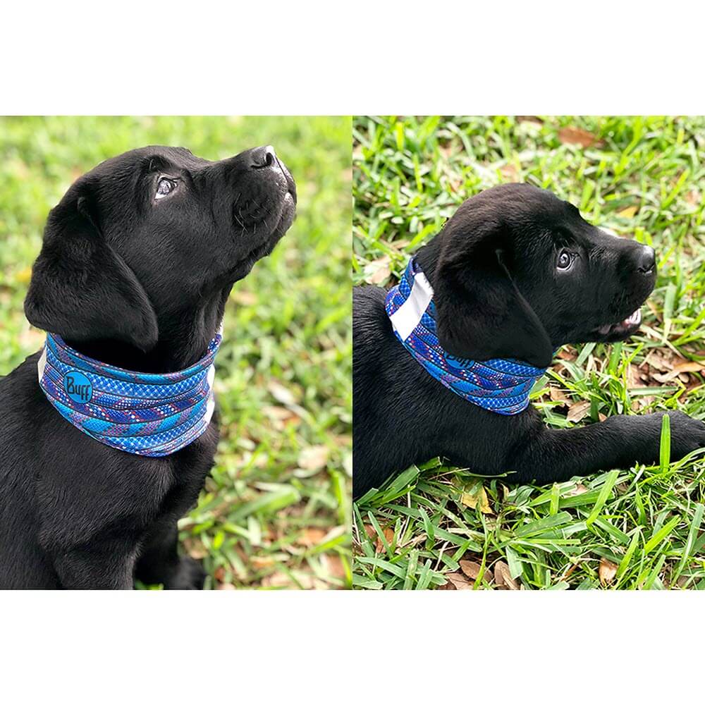 Reflective Neck Scarf Buff for Dogs