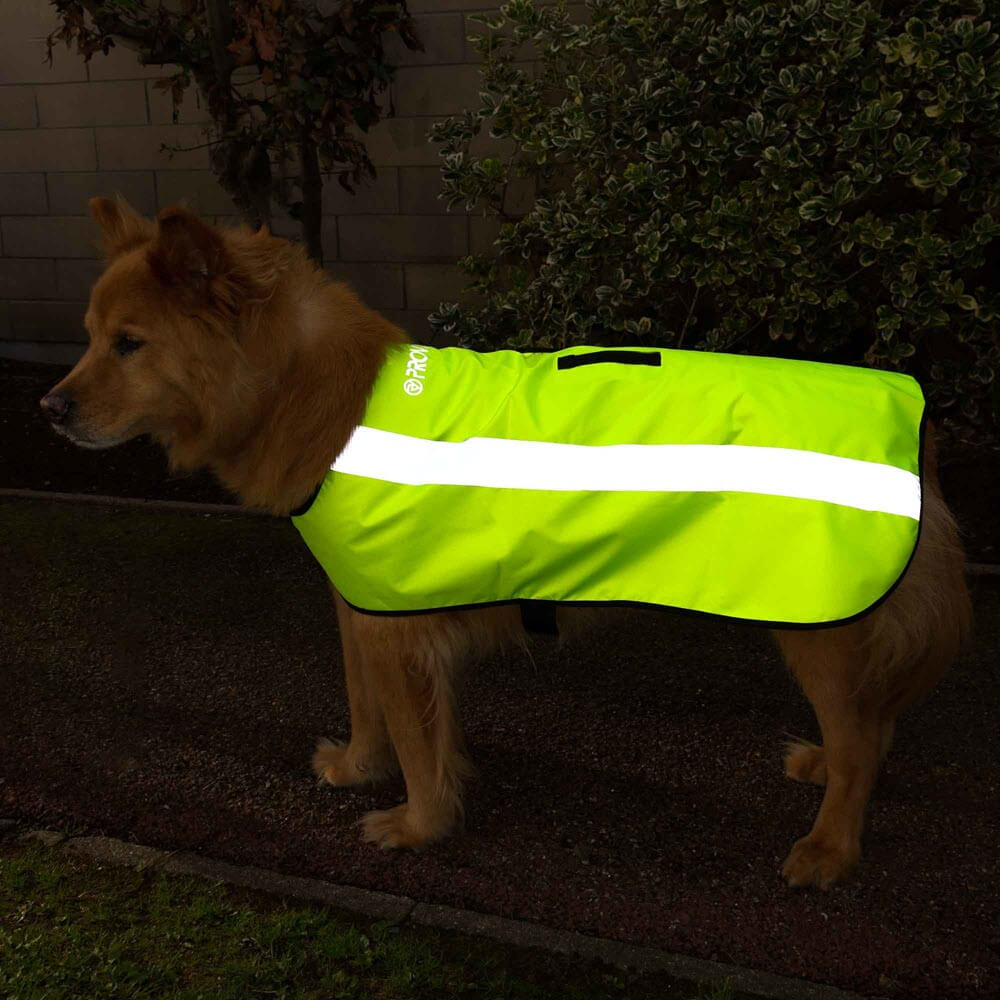 Proviz Classic Hi Visibility Fluorescent and reflective waterproof dog coat