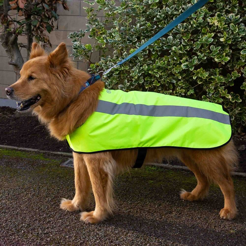 Proviz Classic Hi Visibility Fluorescent and reflective waterproof dog coat