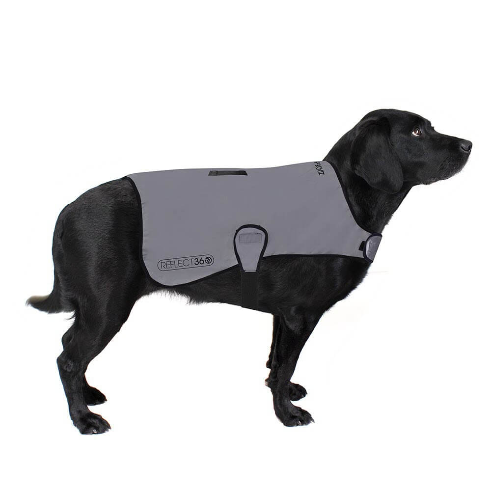 Proviz REFLECT360 Waterproof fully reflective dog coat and dog jacket with harness hole